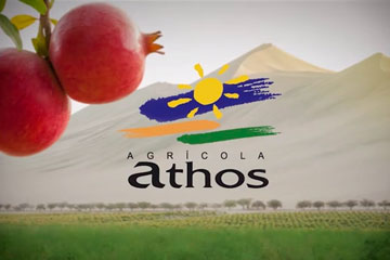 athos video reel