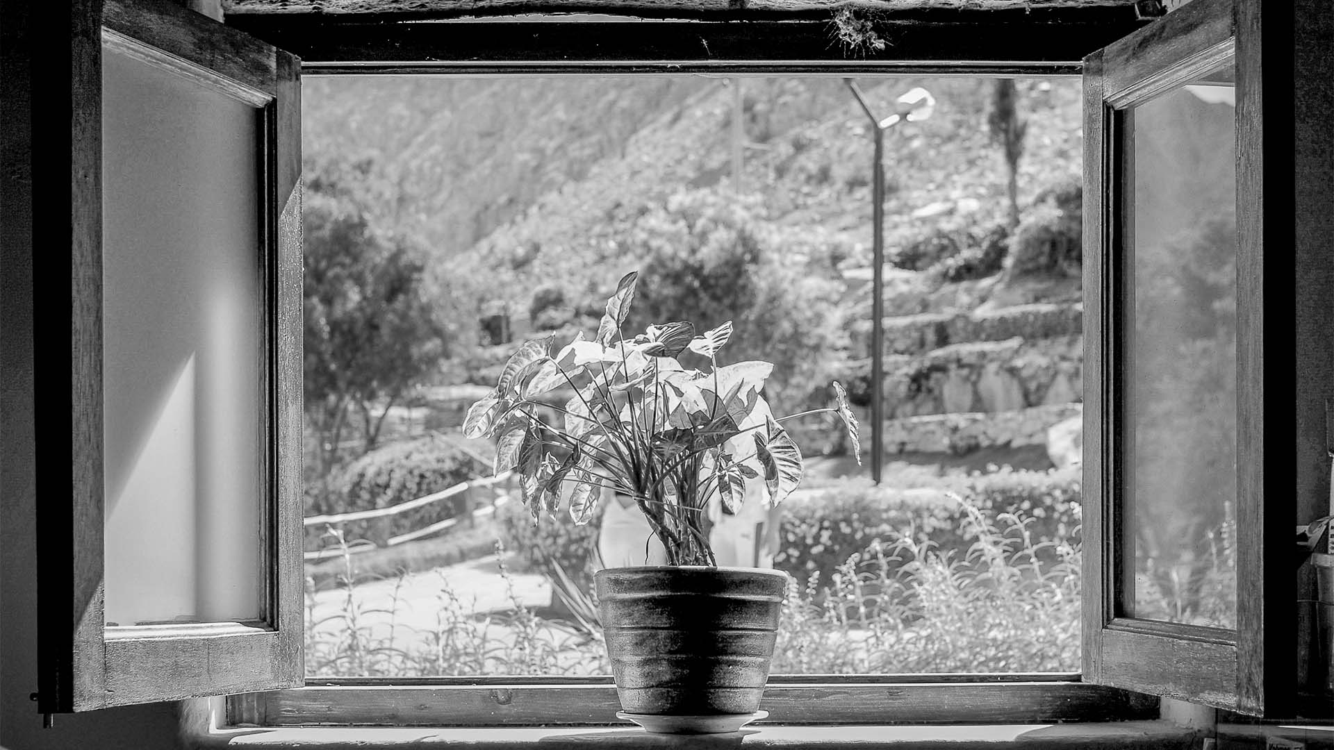 fotografia urbana